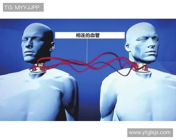 专访吴强:探寻篮球领域成功背后的秘密与经验分享 专访吴强:探寻篮球领域成功背后的秘密与经验分享