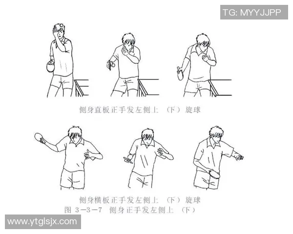 从零开始学乒乓球：全面掌握配合技巧与实战策略的终极指南