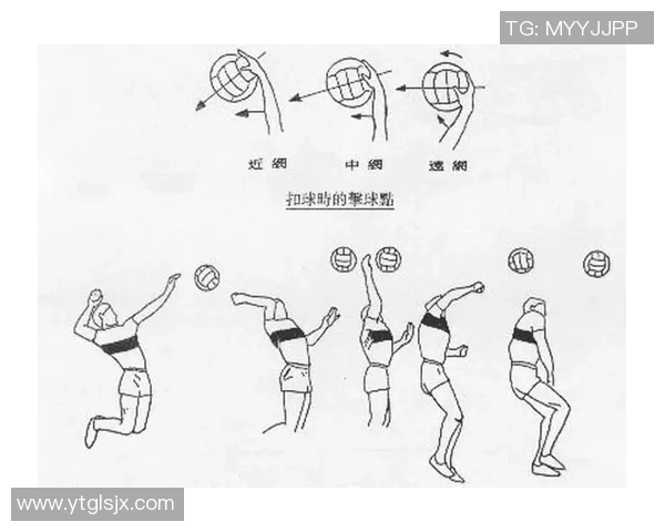 赵娜独家分享排球心得与技巧提升的全面指南