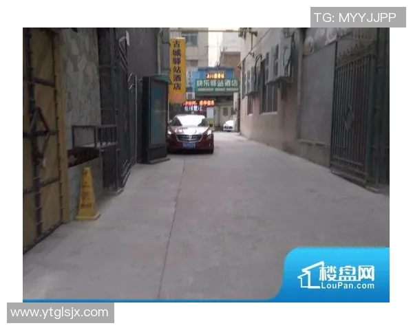 西安乒乓球队快攻战术解析与发展趋势探讨